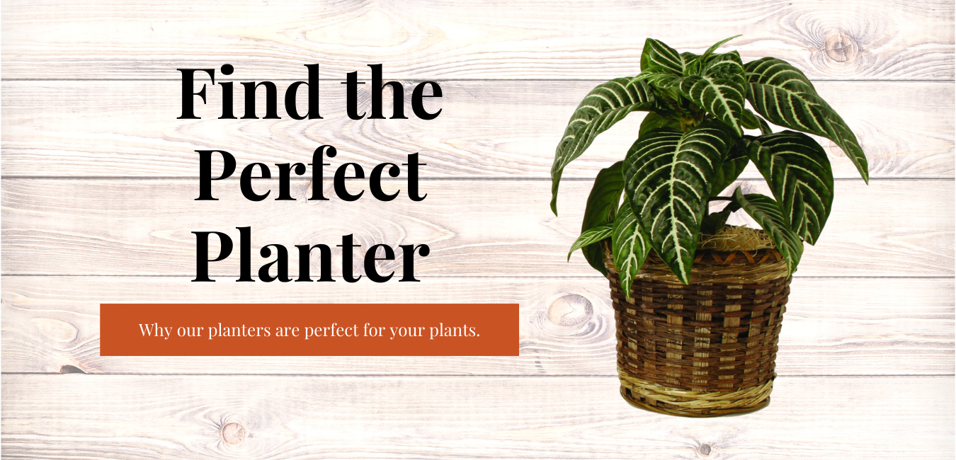 Why You Should Consider Our Planters For Your Indoor Plants