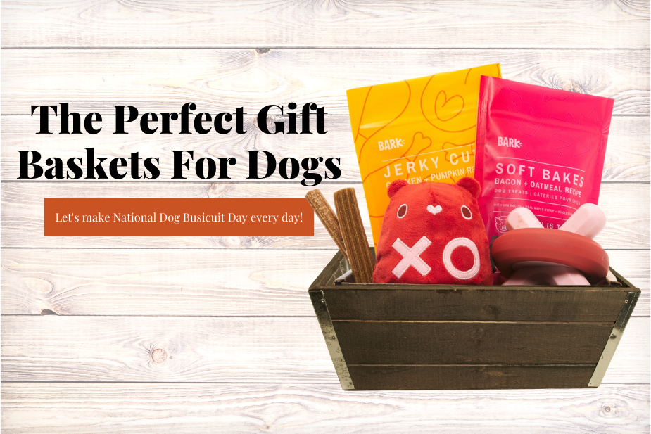 Gift Baskets For Man’s Best Friend
