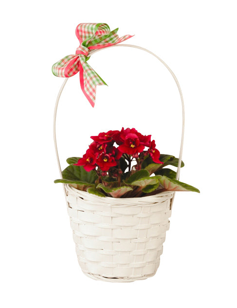 4.75&quot; White Bamboo Basket With Handle-Wald Imports