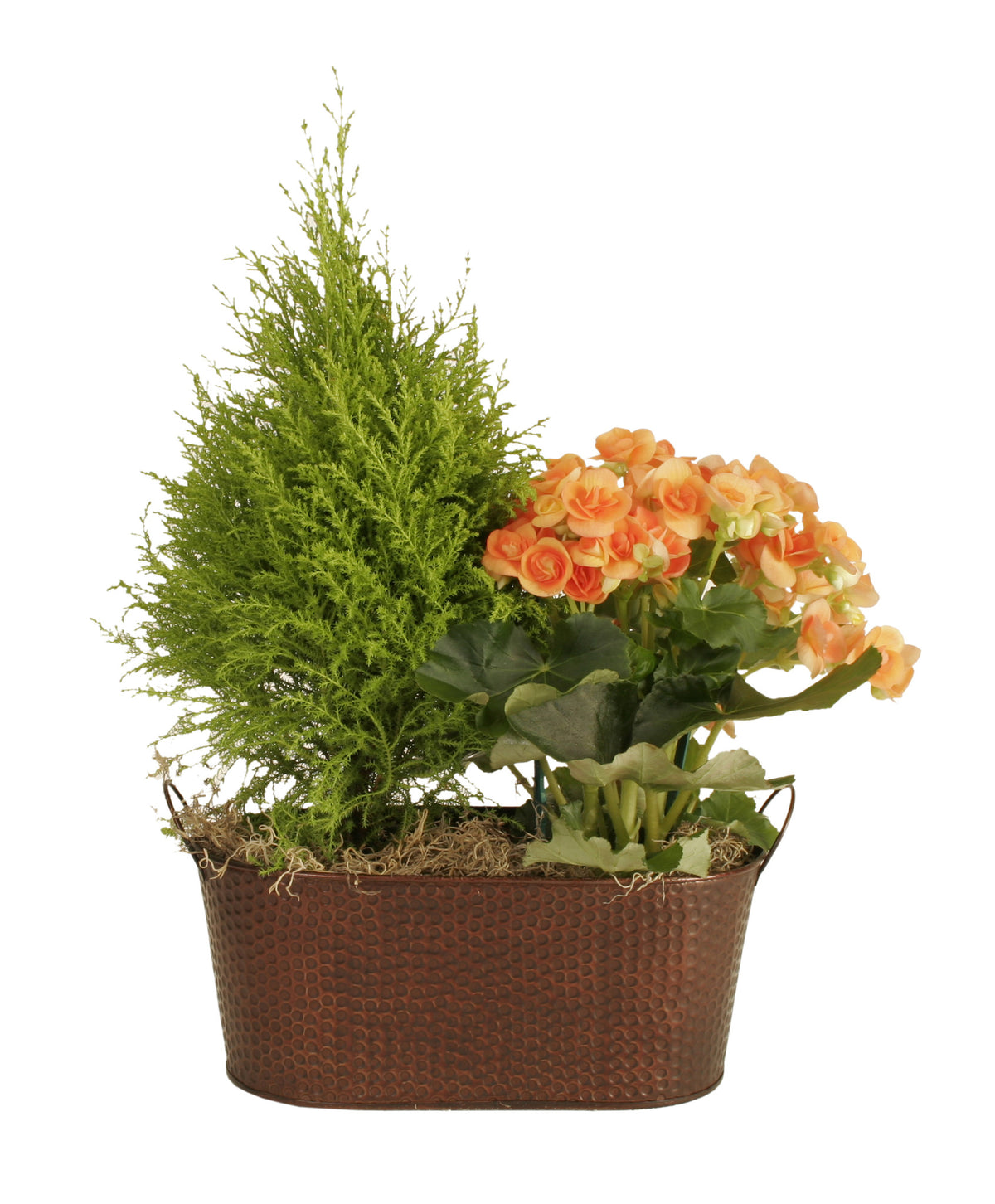 13.5&quot; Oval Copper Tint Hammered Metal Planter-Wald Imports