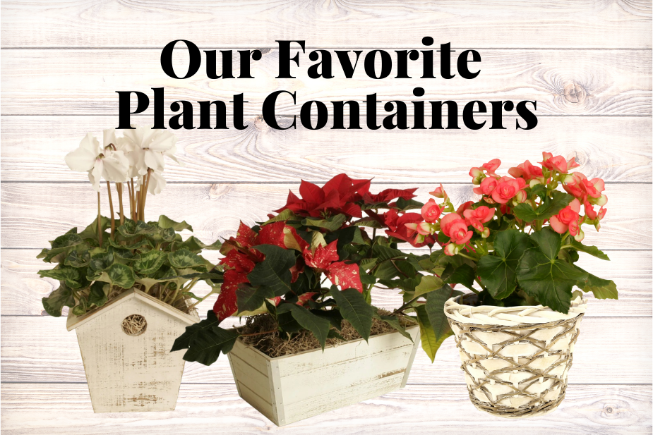 Our Favorite Plant Containers