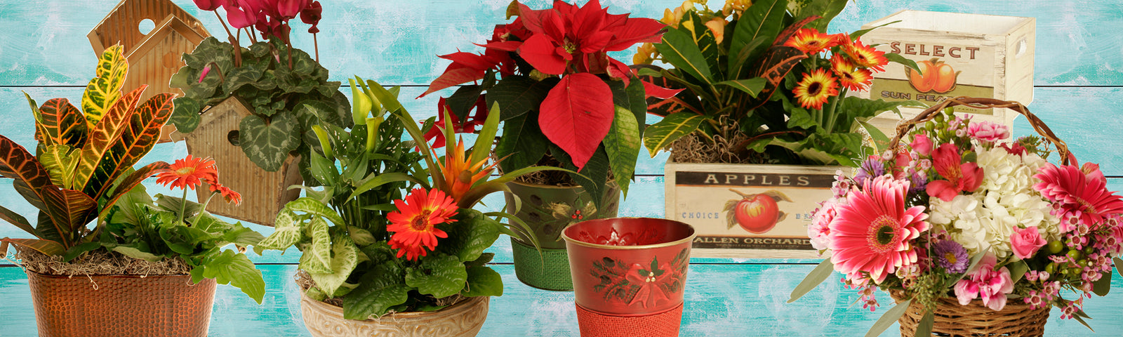 Wald Can ship for your Holiday clients to fill your orders