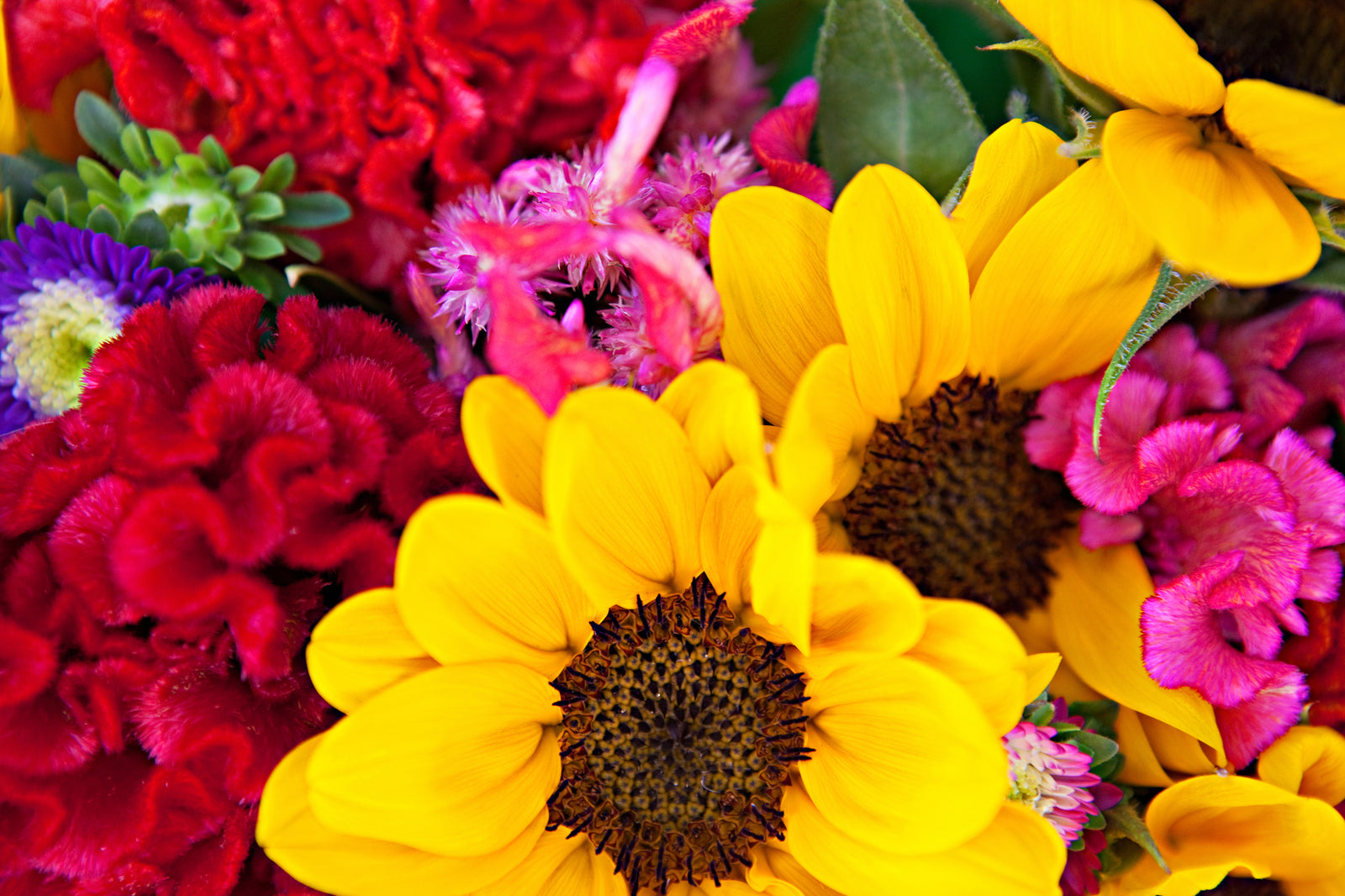 Tips from Florists to Keep your Flowers Longer