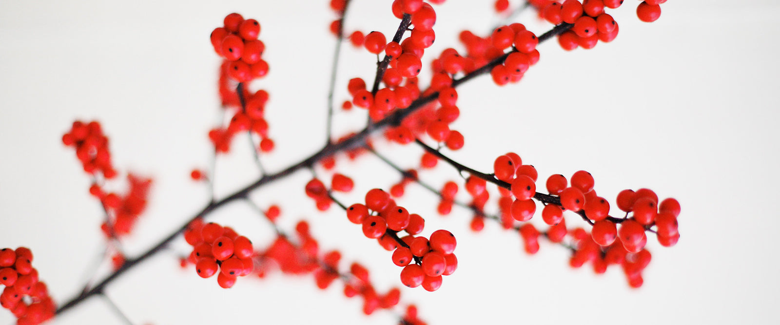 Seasonal Marketing: Cozy Times Make Memories