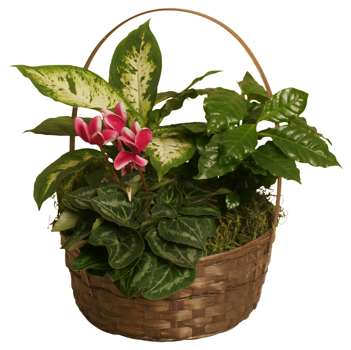 10&quot; Dark Stained Bamboo Basket With Handle