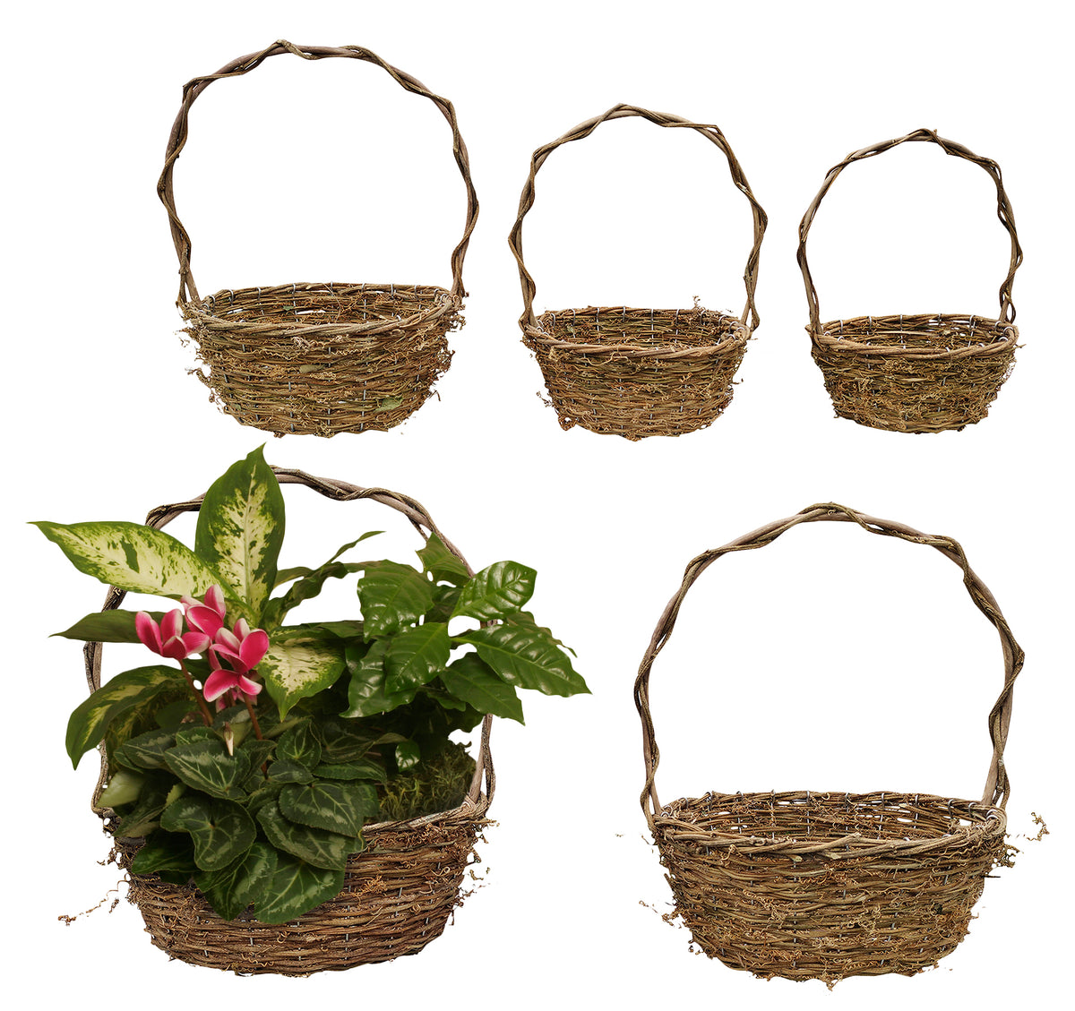 Set of 5 Willow/Rattan Baskets