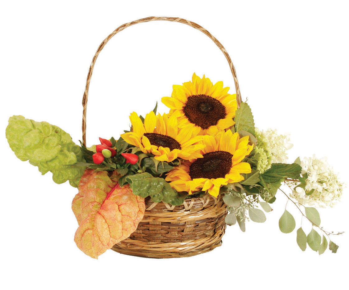 10&quot; Round Rustic Basket with Handle-Wald Imports
