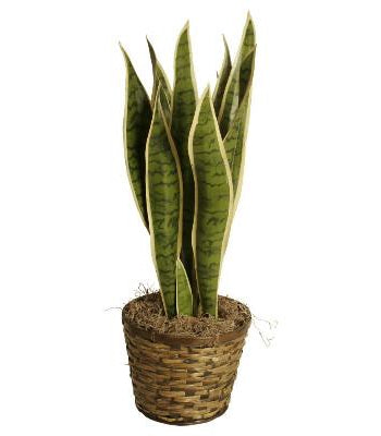 10" Rattan Planter Basket-Wald Imports