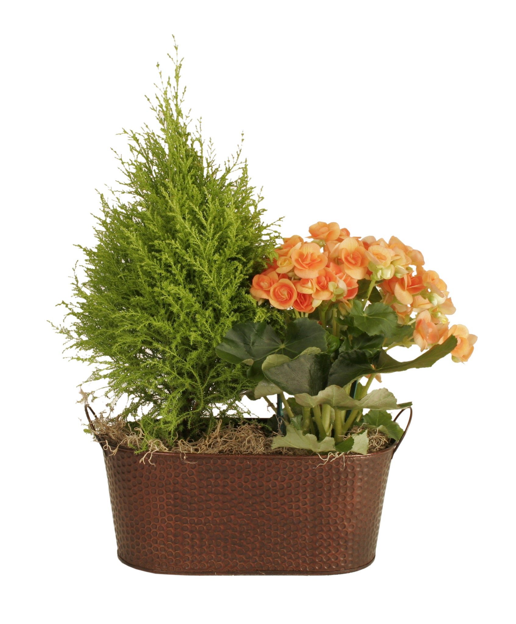 13.5" Oval Copper Tint Hammered Metal Planter-Wald Imports