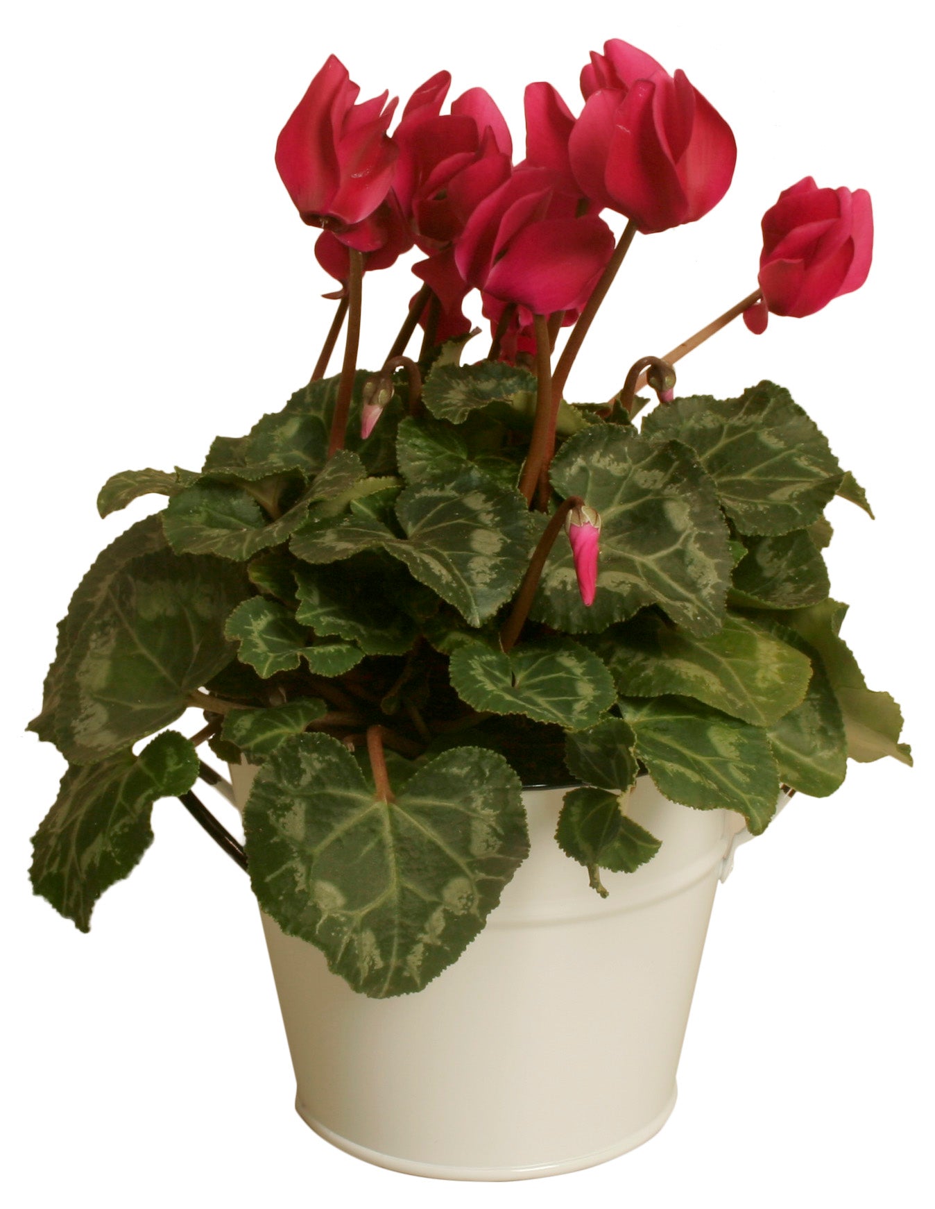5" Pearl White Metal Planter-Wald Imports