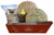 Large Red Paperboard Tray-Wald Imports